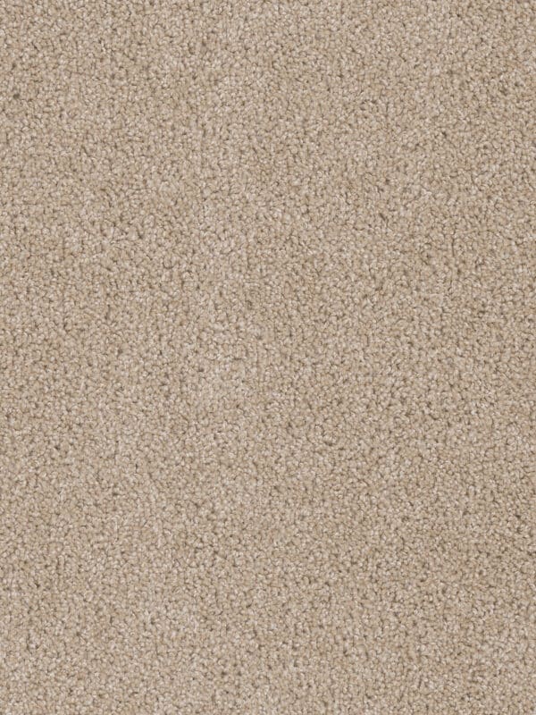 Dreamweaver Carpet Cedar Creek Cashmere Carpet 2030_580