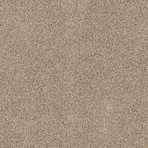 Dreamweaver Carpet Cedar Creek Sawgrass Carpet 2030_701