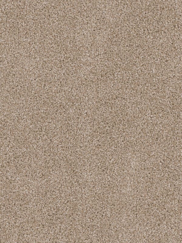 Dreamweaver Carpet Cedar Creek Sawgrass Carpet 2030_701