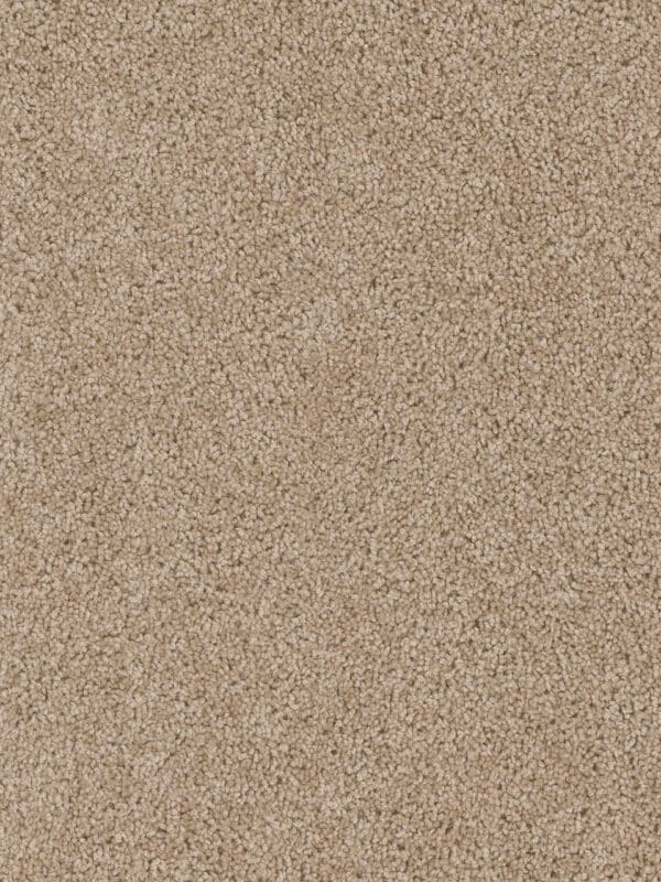 Dreamweaver Carpet Cedar Creek Camel Carpet 2030_710
