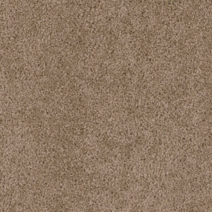 Dreamweaver Carpet Cedar Creek Dove Carpet 2030_725