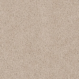 Dreamweaver Carpet Cedar Creek Eggshell Carpet 2030_730