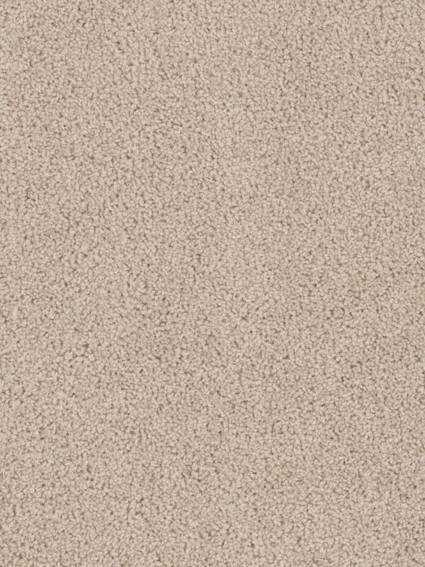 Dreamweaver Carpet Cedar Creek Eggshell Carpet 2030_730