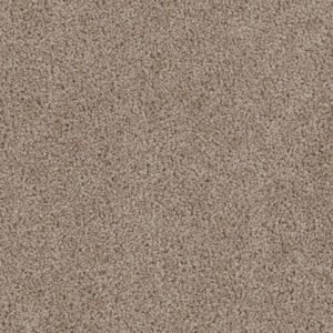 Dreamweaver Carpet Cedar Creek Ash Carpet 2030_775