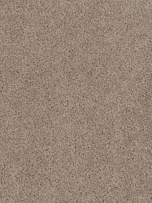 Dreamweaver Carpet Cedar Creek Ash Carpet 2030_775