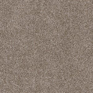 Dreamweaver Carpet Cedar Creek Harbor Carpet 2030_792