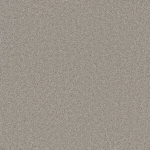 Dreamweaver Carpet Cedar Creek Silver Birch Carpet 2030_800