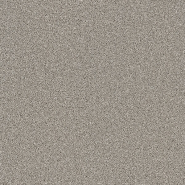 Dreamweaver Carpet Cedar Creek Silver Birch Carpet 2030_800