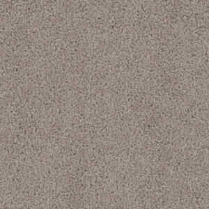 Dreamweaver Carpet Cedar Creek Castle Carpet 2030_945