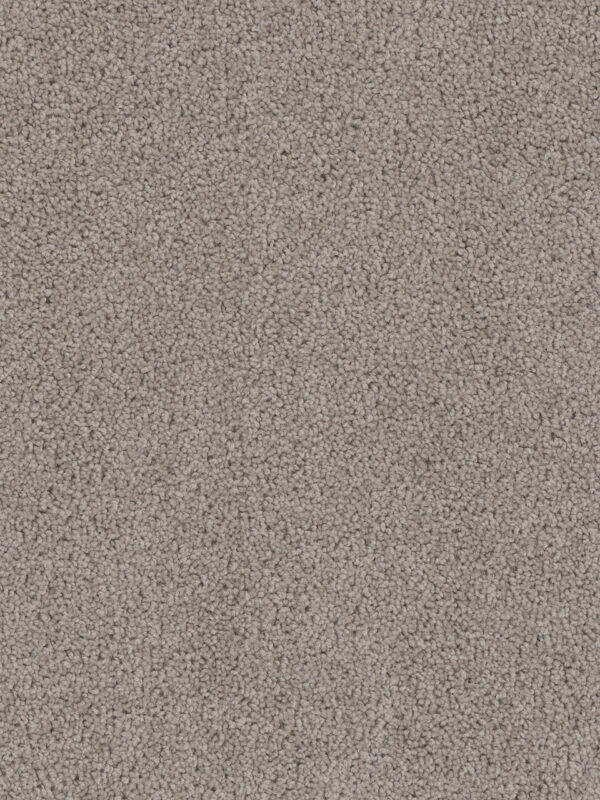 Dreamweaver Carpet Cedar Creek Castle Carpet 2030_945