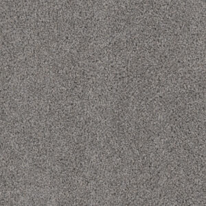 Dreamweaver Carpet Cedar Creek Bayside Carpet 2030_956