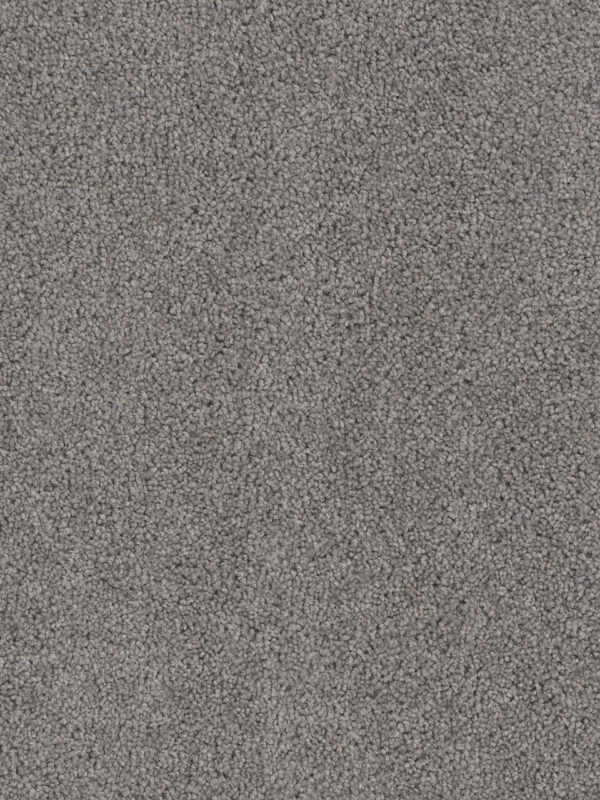 Dreamweaver Carpet Cedar Creek Bayside Carpet 2030_956