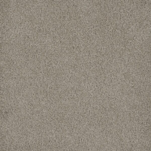 Dreamweaver Carpet Hammond Creek I Cameo Carpet 2032_174