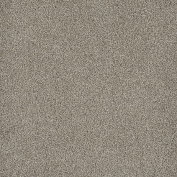 Dreamweaver Carpet Hammond Creek I Cameo Carpet 2032_174