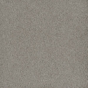 Dreamweaver Carpet Hammond Creek I Clam Shell Carpet 2032_182