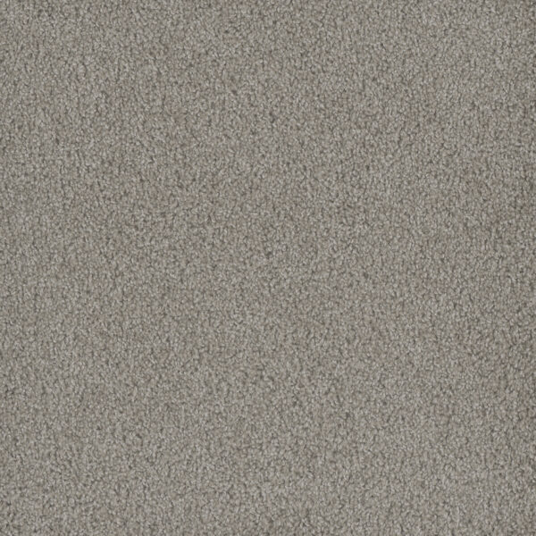 Dreamweaver Carpet Hammond Creek I Clam Shell Carpet 2032_182