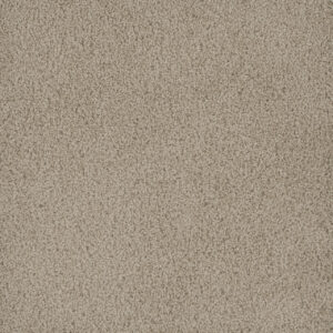 Dreamweaver Carpet Hammond Creek I Oak Bay Carpet 2032_349