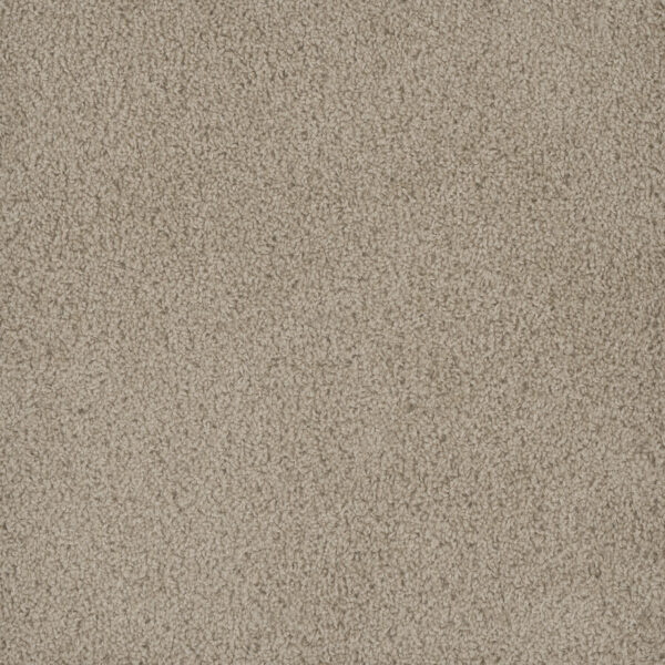 Dreamweaver Carpet Hammond Creek II Oak Bay Carpet 2045_349