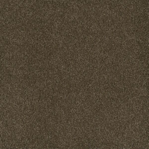 Dreamweaver Carpet Hammond Creek I Black Walnut Carpet 2032_540