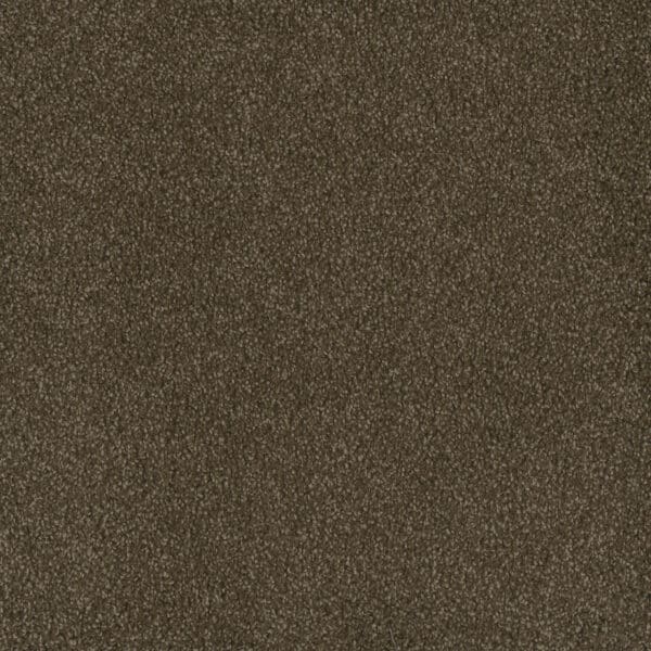 Dreamweaver Carpet Hammond Creek I Black Walnut Carpet 2032_540