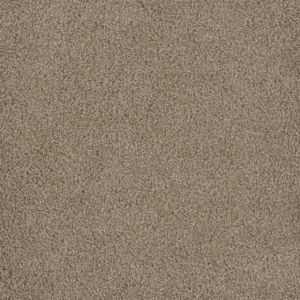 Dreamweaver Carpet Hammond Creek I Sawgrass Carpet 2032_701