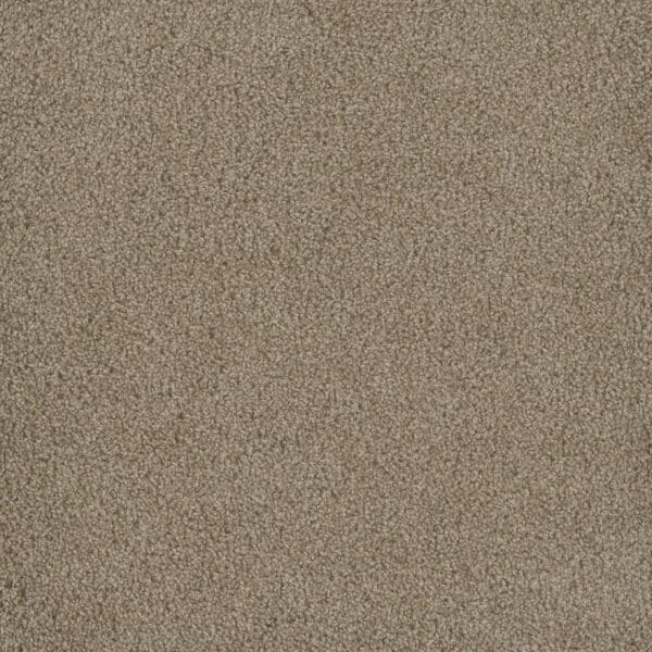 Dreamweaver Carpet Hammond Creek I Sawgrass Carpet 2032_701