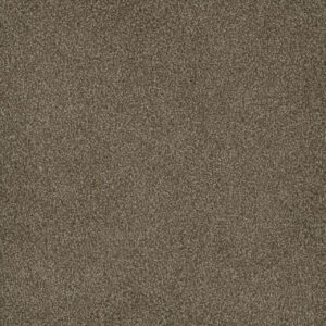 Dreamweaver Carpet Hammond Creek I Dove Carpet 2032_725