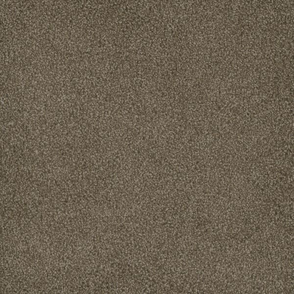 Dreamweaver Carpet Hammond Creek I Dove Carpet 2032_725