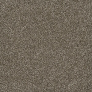 Dreamweaver Carpet Hammond Creek I Harber Carpet 2032_792