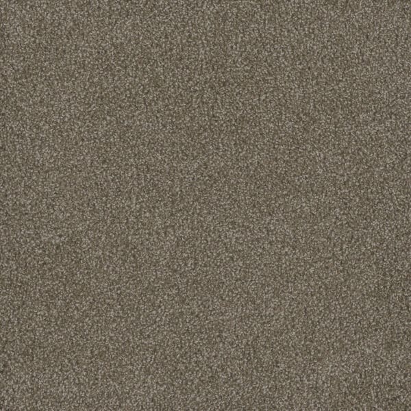 Dreamweaver Carpet Hammond Creek I Harber Carpet 2032_792