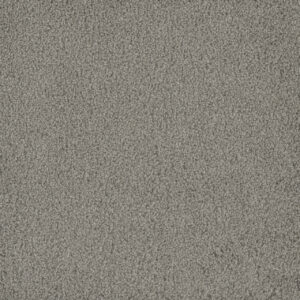 Dreamweaver Carpet Hammond Creek I Silver Birch Carpet 2032_800