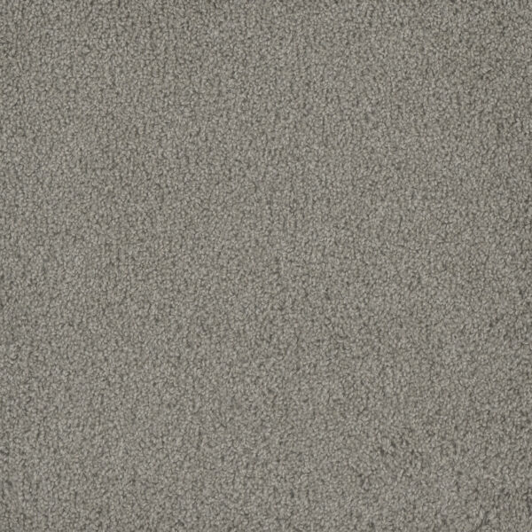 Dreamweaver Carpet Hammond Creek I Silver Birch Carpet 2032_800