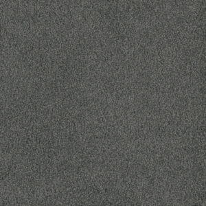 Dreamweaver Carpet Hammond Creek I Onyx Waves Carpet 2032_890