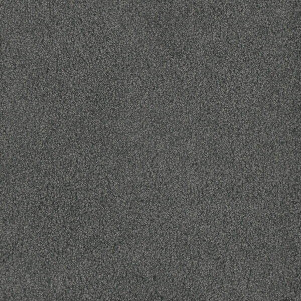 Dreamweaver Carpet Hammond Creek I Onyx Waves Carpet 2032_890