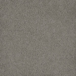 Dreamweaver Carpet Hammond Creek I Chrome Carpet 2032_927
