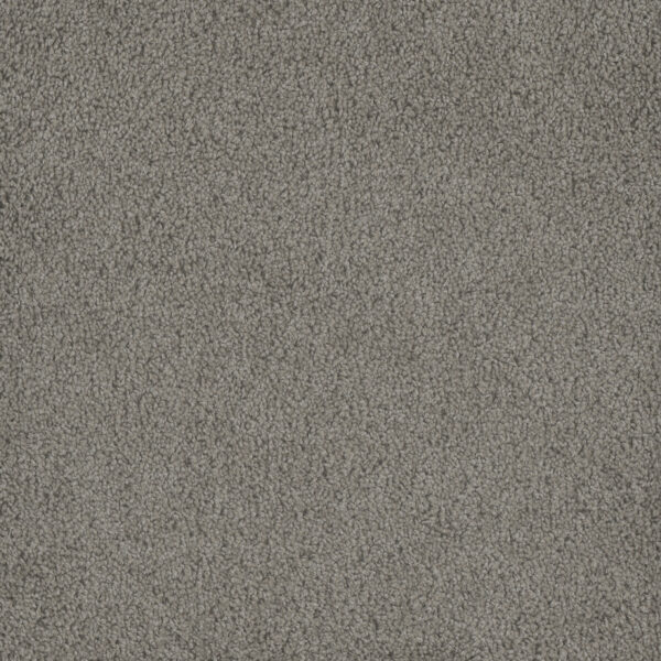 Dreamweaver Carpet Hammond Creek I Chrome Carpet 2032_927