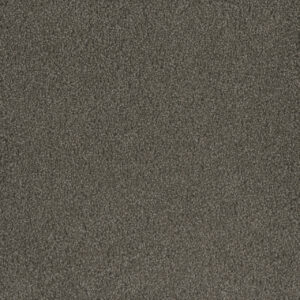 Dreamweaver Carpet Hammond Creek I Riverbed Carpet 2032_955