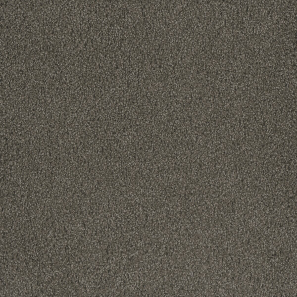 Dreamweaver Carpet Hammond Creek I Riverbed Carpet 2032_955