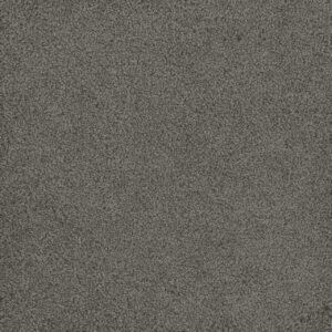 Dreamweaver Carpet Hammond Creek I Bayside Carpet 2032_956