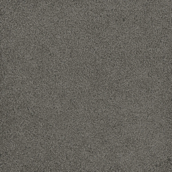 Dreamweaver Carpet Hammond Creek I Bayside Carpet 2032_956