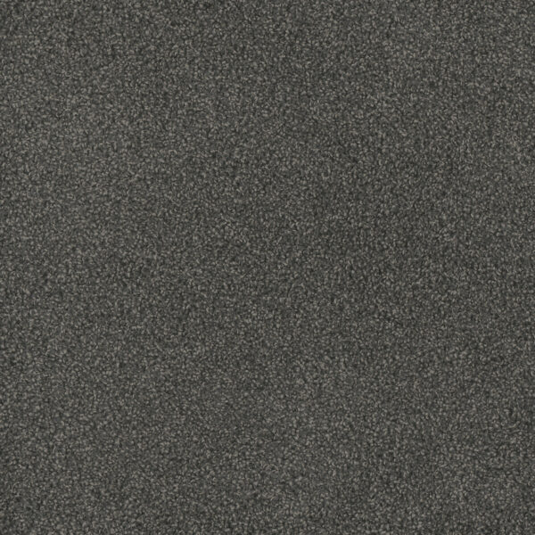Dreamweaver Carpet Hammond Creek I Electron Carpet 2032_972