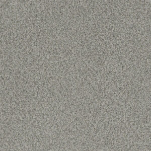 Dreamweaver Carpet Crown Garden I Natural Choice Carpet 2345_2848