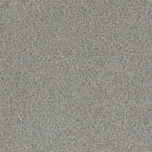 Dreamweaver Carpet Crown Garden I Natural Choice Carpet 2345_2848