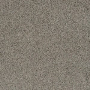 Dreamweaver Carpet Crown Garden I Rice Paper Carpet 2345_2849