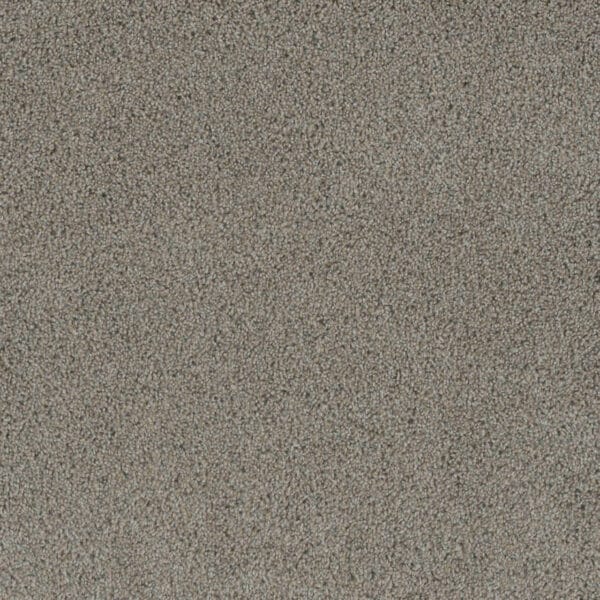 Dreamweaver Carpet Crown Garden II Rice Paper Carpet 2365_2849