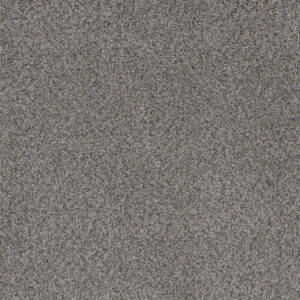 Dreamweaver Carpet Crown Garden I Crushed Pebble Carpet 2345_2850