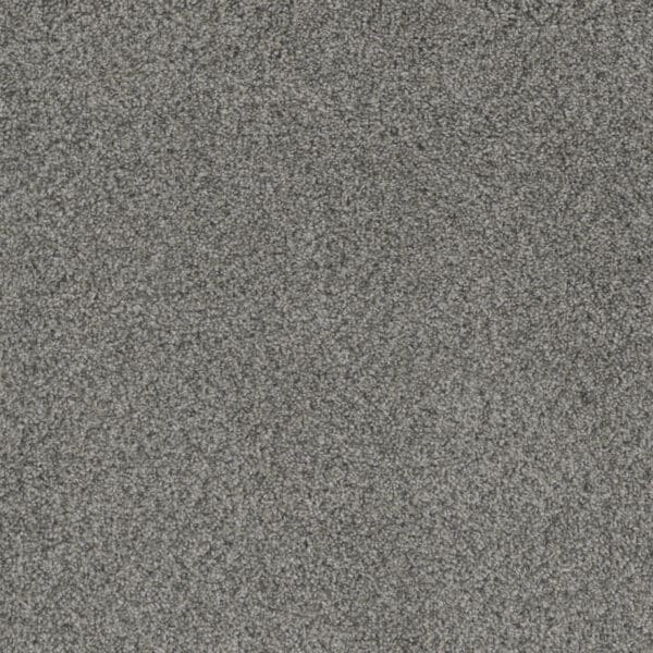 Dreamweaver Carpet Crown Garden I Crushed Pebble Carpet 2345_2850
