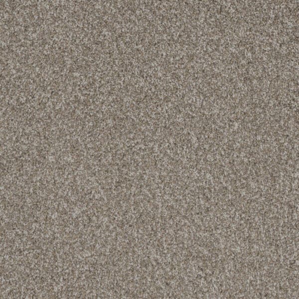Dreamweaver Carpet Crown Garden I Coconut Cream Carpet 2345_2875
