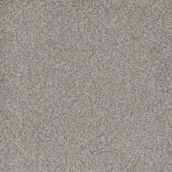 Dreamweaver Carpet Crown Garden I Essence Carpet 2345_2951