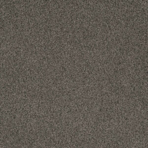 Dreamweaver Carpet Crown Garden I Delicate Drift Carpet 2345_2971